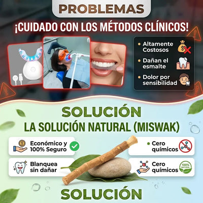  LA SOLUCIÓN DEFINITIVA